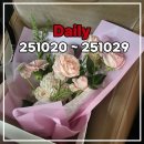 세진컴퍼니 | 잠들기 아쉬워서 올려보는, 251020 ~ 251029