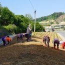 바리실마을 이미지