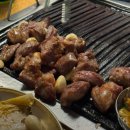 대구생막창 티스토리