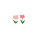 에이치엠컴퍼니 이미지