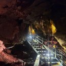 천곡황금박쥐동굴 이미지