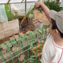 명주농장 이미지