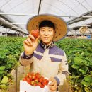 (주)다온팜 이미지