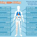 (LW-의학/건강/운동) Changing America’s System for Organ Transplants 이미지