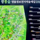 신곡약수터 이미지