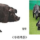 참진축산 이미지