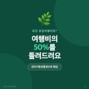 강진 아트홀 | 강진 반값여행 신청 방법 전남 숙소 명소