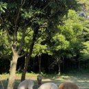 장양농장 이미지