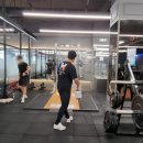 익스홀릭 가넷 이미지