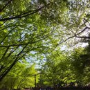 동구 화음페스티벌 음악회 | [살기좋은 성남시 우리동네 이야기] 봄바람 타고 찾아온 클래식, 성남 물빛정원 연주회 다녀왔어요~