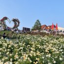신유정원 | 임실 : 장미축제 후기🌹(반려견동반, 주차, 김다현, 이찬원)