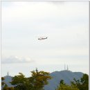 대청원