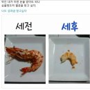 한신포차 익산원광대점 | [11장] 아니, 난 내가 쿨병걸린 웜톤인줄 알았다니깐?