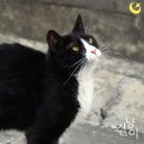 우디 이미지