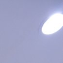 디즈니치과의원 네이버블로그