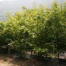 지방농장 이미지