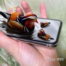 3D Effect (원앙새) 이미지