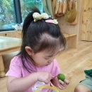 25.6.9.(월) 매실 꼭지따기, 흙 밟기, 모심기, 신책 이미지