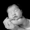 진관-001 이미지