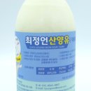 최정언산양목장 이미지