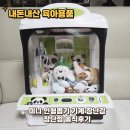 뽑기통 | 내돈내산 미니 인형뽑기 기계 장난감 장단점 솔직후기