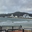 송정관광안내소 Daum카페