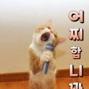 꼬추 이미지