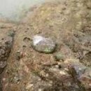 개울건너 스테이 이미지