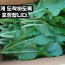 돌산갓밥상 이미지