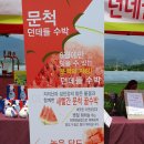 문척-1 이미지