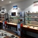 강남-172 이미지