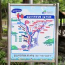 칠갑산 오토 무인카페 | 대전 근교 여행 청양 가볼만한곳 충남 계곡 칠갑산 자연휴양림 칠갑타워