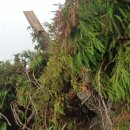 복자농장 이미지