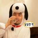 버프템 | 캐나다 코스트코 한식템 구매 후기