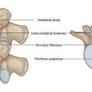 TREX트레이닝센터 이미지