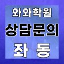 좌동 와와센터 후기