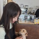 엠지떡볶이 이미지