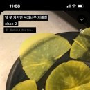 플러피 홀리데이 이미지