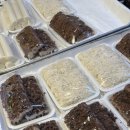 양지떡방앗간 이미지