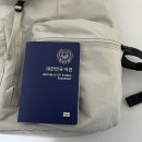 플러스 포켓 | 브랜든 세이프 플러스 백팩(웜그레이) 내돈내산 실사용 후기