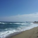 낙산농장 이미지