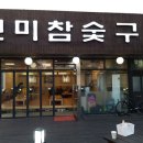 개꿈꾸는 고양이 이미지