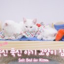 우당탕탕 이야기 속으로~ 이미지