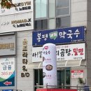 냥 | 부산 해운대에서 힐링 - 냥춘기캣카페 다녀온 후기