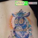 수채화 부엉이타투 작업후기, 홍대 타투라쿤에서 작업한 여성 허리 코스믹 아울