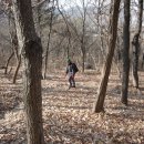 구포3동-13 이미지