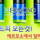 네일에르모소 이미지