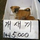 모란시장 이미지