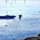 갯벌이야기 이미지