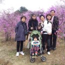 참조은 목장 이미지